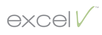 Excel V logo