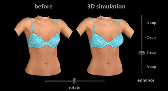 Diagram of the 3D simulation showing the original cup size and the simulation cup size