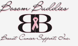 Bosom Buddies logo